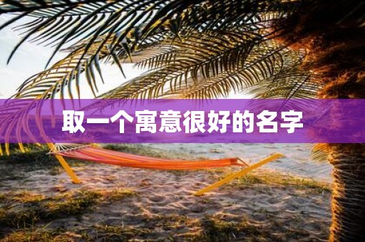 取一个寓意很好的名字