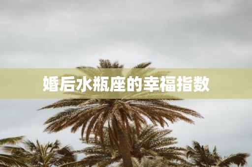 婚后水瓶座的幸福指数
