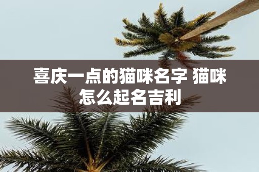 喜庆一点的猫咪名字 猫咪怎么起名吉利