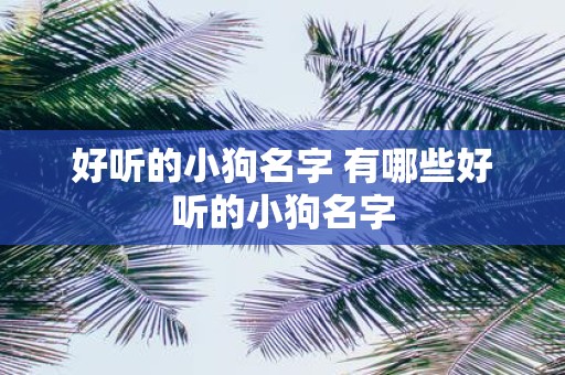 好听的小狗名字 有哪些好听的小狗名字
