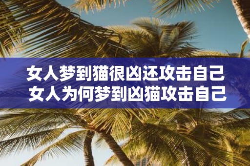 女人梦到猫很凶还攻击自己 女人为何梦到凶猫攻击自己