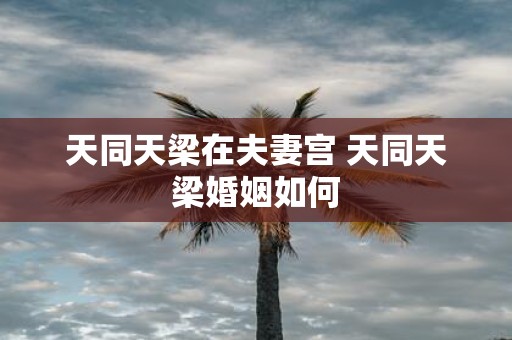 天同天梁在夫妻宫 天同天梁婚姻如何