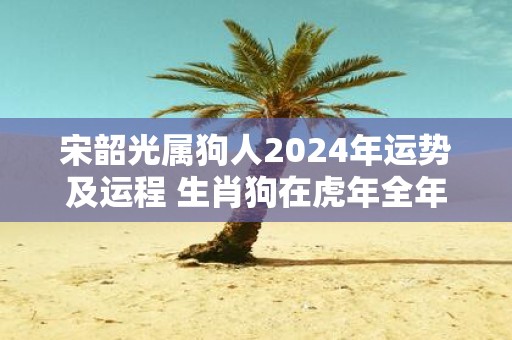 宋韶光属狗人2025年运势及运程 生肖狗在虎年全年每月运势如何