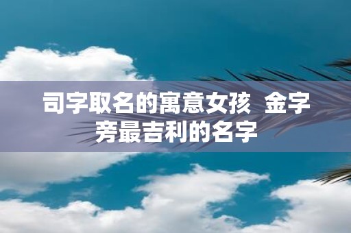 司字取名的寓意女孩 金字旁最吉利的名字