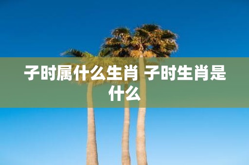 子时属什么生肖 子时生肖是什么