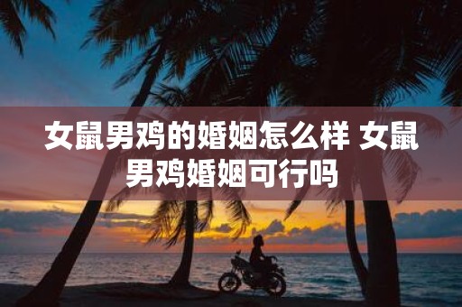 女鼠男鸡的婚姻怎么样 女鼠男鸡婚姻可行吗