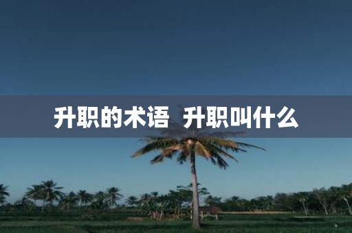 升职的术语 升职叫什么