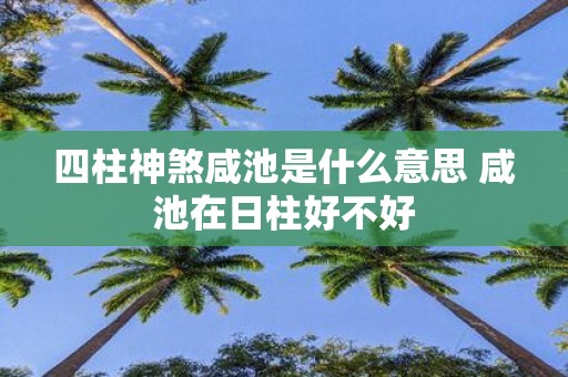 四柱神煞咸池是什么意思 咸池在日柱好不好