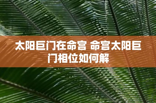 太阳巨门在命宫 命宫太阳巨门相位如何解