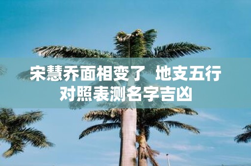 宋慧乔面相变了 地支五行对照表测名字吉凶