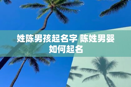 姓陈男孩起名字 陈姓男婴如何起名