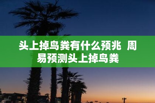 头上掉鸟粪有什么预兆 周易预测头上掉鸟粪