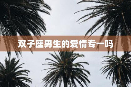 双子座男生的爱情专一吗