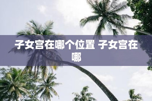 子女宫在哪个位置 子女宫在哪