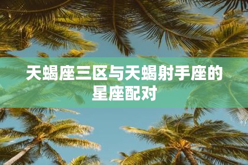 天蝎座三区与天蝎射手座的星座配对