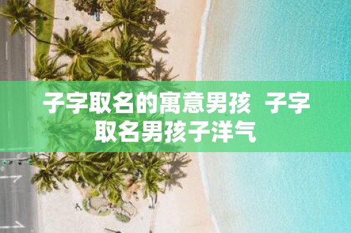子字取名的寓意男孩 子字取名男孩子洋气