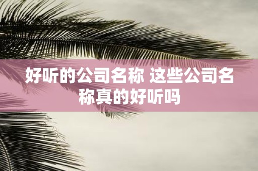 好听的公司名称 这些公司名称真的好听吗