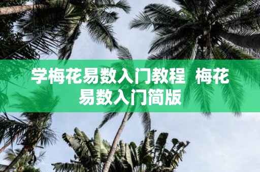 学梅花易数入门教程 梅花易数入门简版