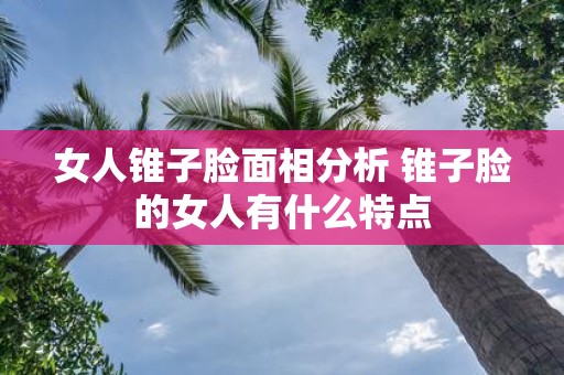 女人锥子脸面相分析 锥子脸的女人有什么特点
