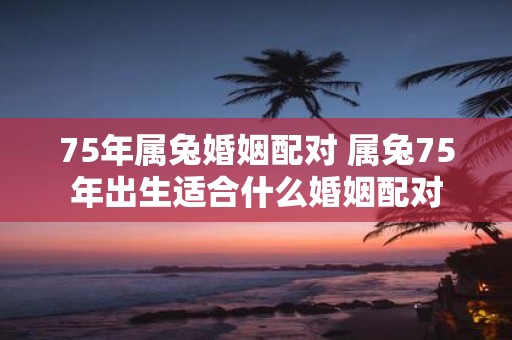 75年属兔婚姻配对 属兔75年出生适合什么婚姻配对