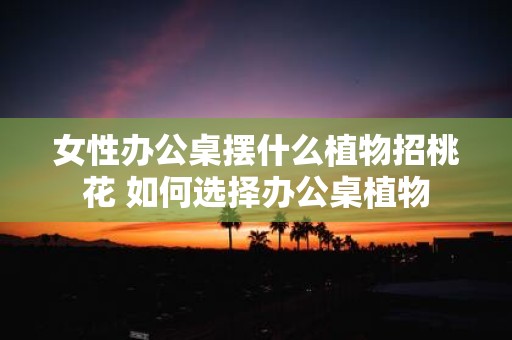 女性办公桌摆什么植物招桃花 如何选择办公桌植物