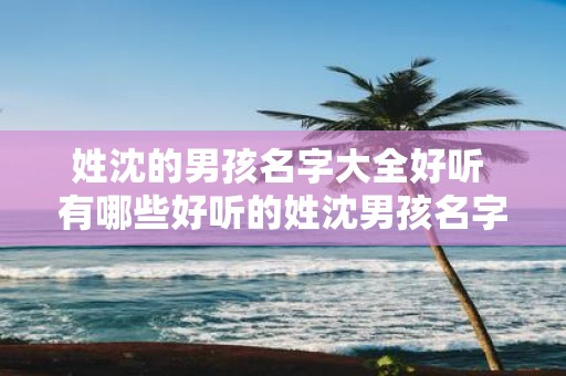 姓沈的男孩名字大全好听 有哪些好听的姓沈男孩名字