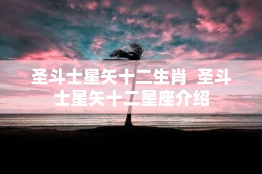 圣斗士星矢十二生肖 圣斗士星矢十二星座介绍