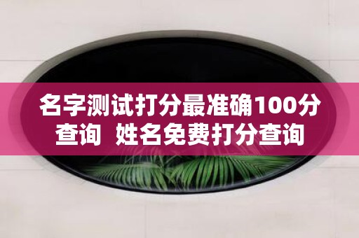 名字测试打分最准确100分查询 姓名免费打分查询