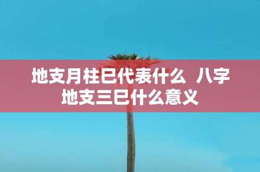 地支月柱巳代表什么 八字地支三巳什么意义