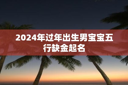 2025年过年出生男宝宝五行缺金起名