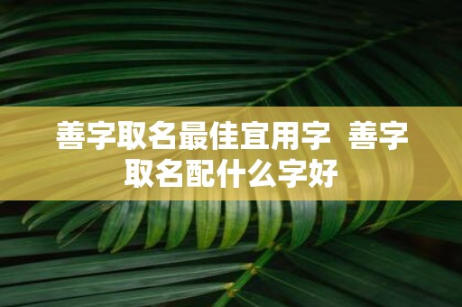 善字取名最佳宜用字 善字取名配什么字好