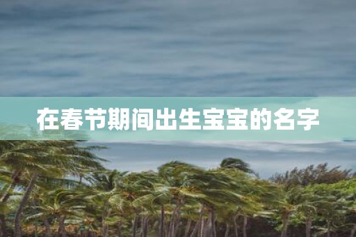 在春节期间出生宝宝的名字