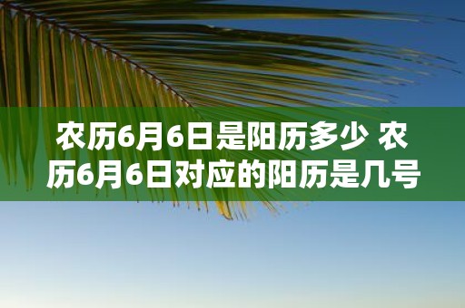 农历6月6日是阳历多少 农历6月6日对应的阳历是几号