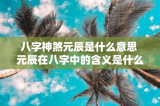 八字神煞元辰是什么意思 元辰在八字中的含义是什么