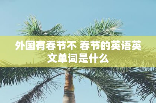 外国有春节不 春节的英语英文单词是什么