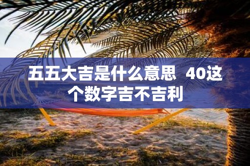 五五大吉是什么意思 40这个数字吉不吉利