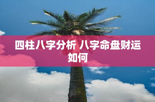 四柱八字分析 八字命盘财运如何