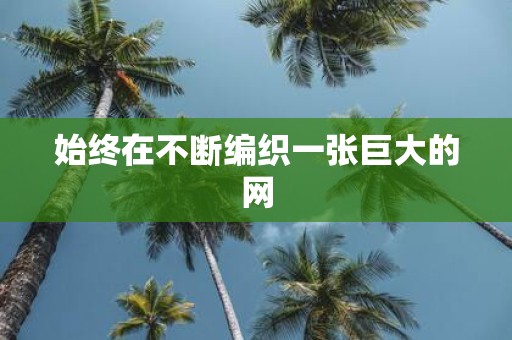 始终在不断编织一张巨大的网