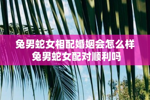 兔男蛇女相配婚姻会怎么样 兔男蛇女配对顺利吗