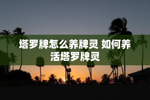 塔罗牌怎么养牌灵 如何养活塔罗牌灵