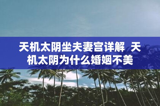 天机太阴坐夫妻宫详解 天机太阴为什么婚姻不美