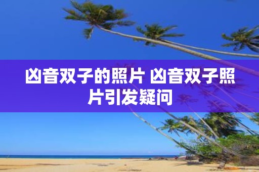 凶音双子的照片 凶音双子照片引发疑问