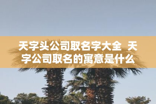 天字头公司取名字大全 天字公司取名的寓意是什么