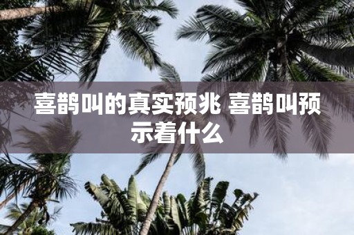 喜鹊叫的真实预兆 喜鹊叫预示着什么
