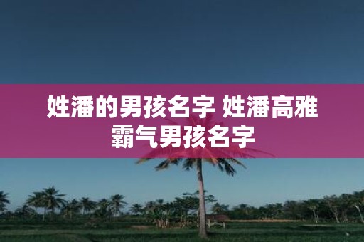 姓潘的男孩名字 姓潘高雅霸气男孩名字