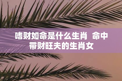嗜财如命是什么生肖 命中带财旺夫的生肖女