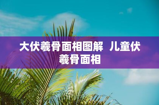 大伏羲骨面相图解 儿童伏羲骨面相