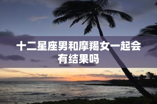 十二星座男和摩羯女一起会有结果吗