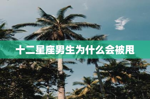 十二星座男生为什么会被甩