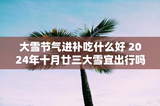 大雪节气进补吃什么好 2025年十月廿三大雪宜出行吗